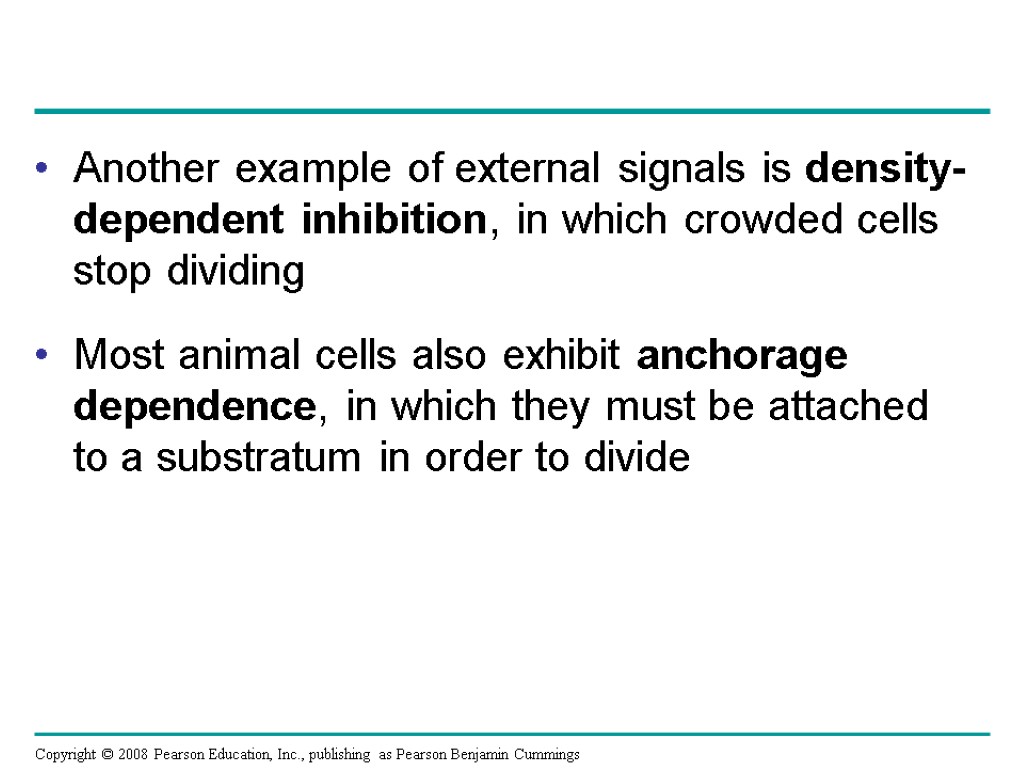 Another example of external signals is density-dependent inhibition, in which crowded cells stop dividing